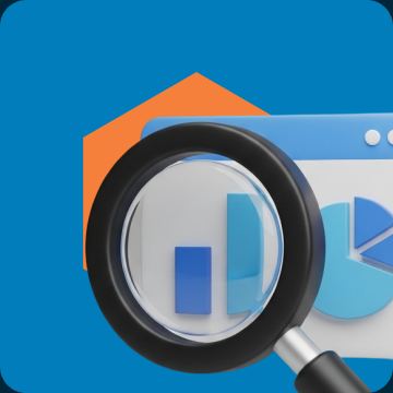 ERP Selection & Implementation